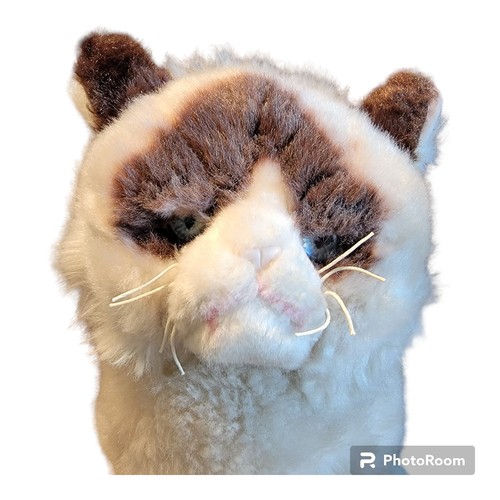Grumpy cat gund - cat,
